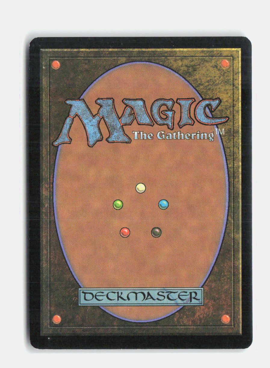 Kinsbaile Borderguard Morningtide NM (Back)