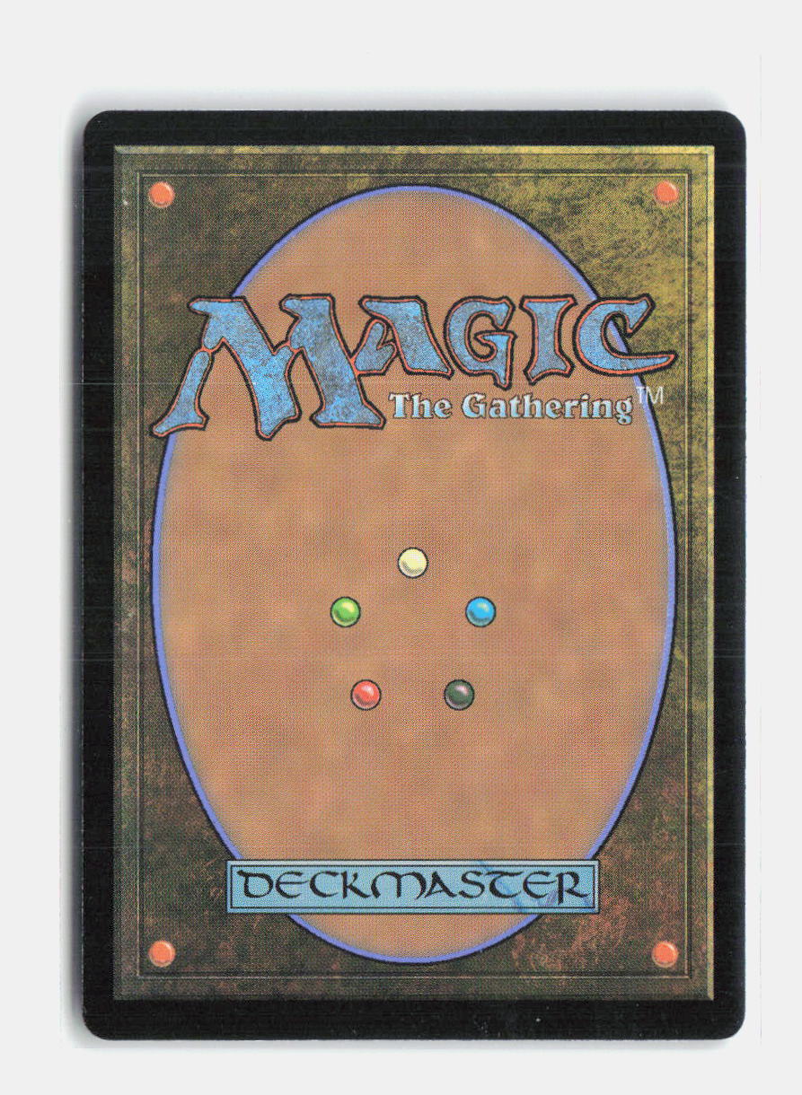Waste Not Wilds of Eldraine: Enchanting Tales NM (Back)