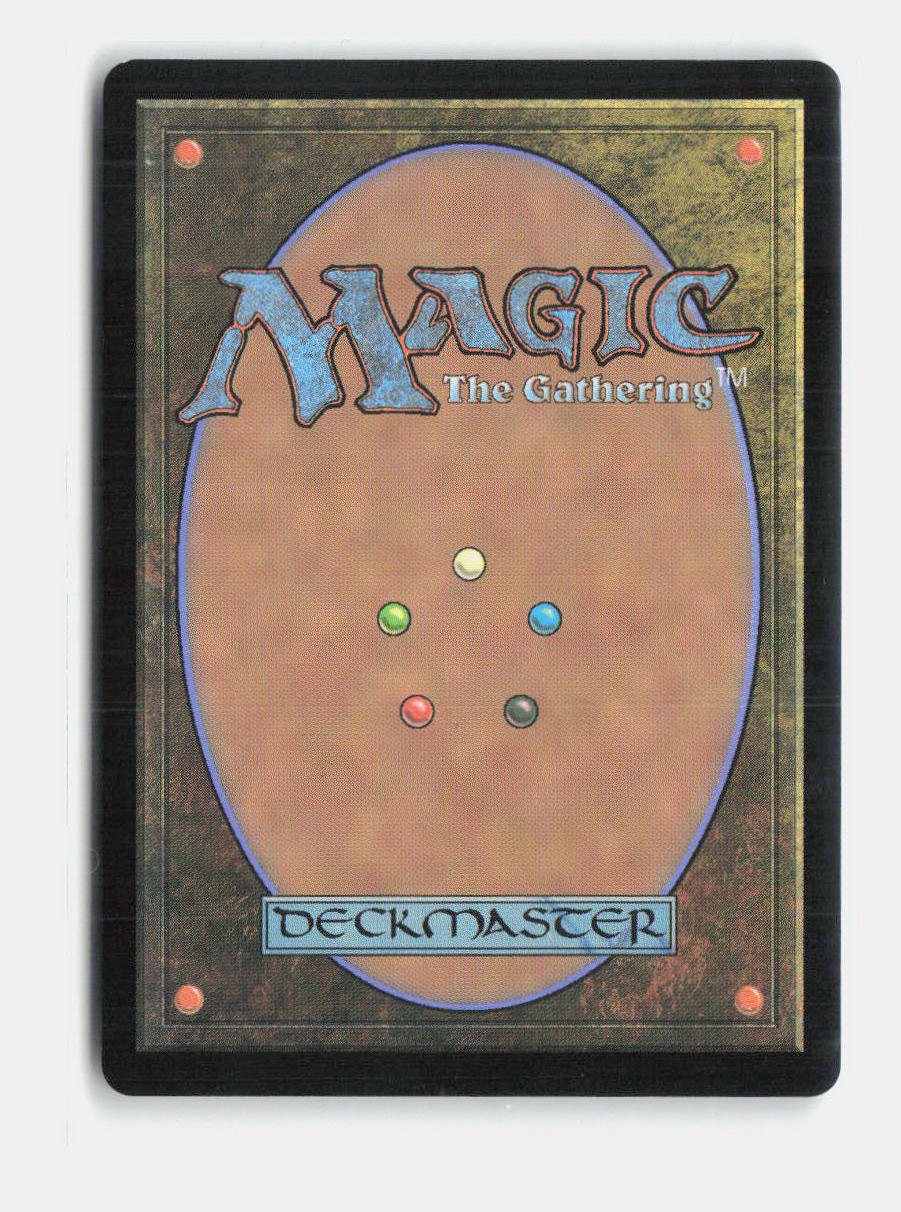 Season of Gathering (Borderless) Bloomburrow NM Foil (Back)
